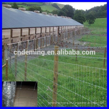 Anping deming (fábrica iso9001) ovejas y cabra cerca